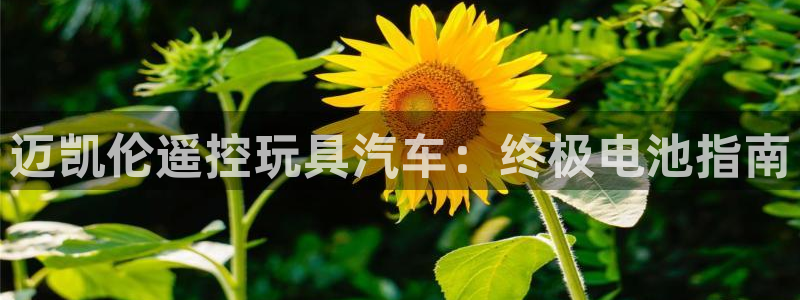 优发国际登录首页怎么设置：迈凯伦遥控玩具汽车：终极电池指南