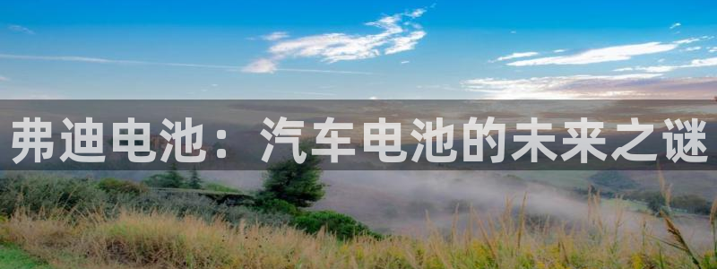 优发国际客服联系方式电话：弗迪电池：汽车电池的未来之谜