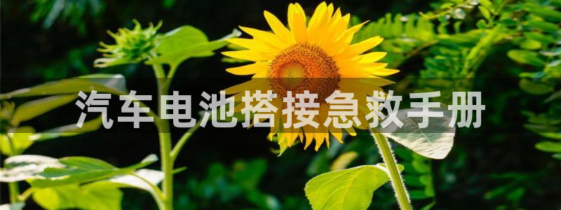 优发国际合并到哪里了啊：汽车电池搭接急救手册
