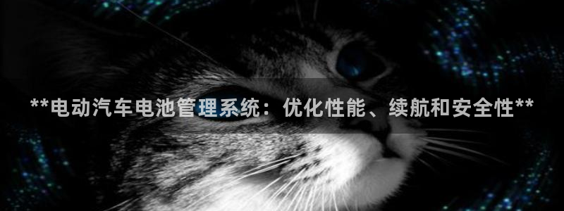 优发国际这个平台怎么样啊：**电动汽车电池管理系统：优化性能、续航和安全性**