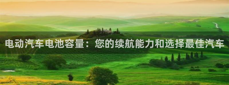 优发国际官网下载苹果版：电动汽车电池容量：您的续航能力和选择最佳汽车