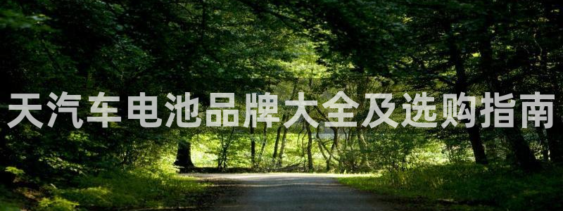 优发国际最新网站下载：天汽车电池品牌大全及选购指南