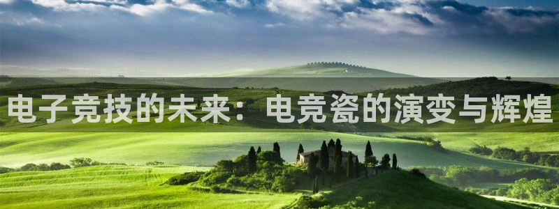 火狐电竞酒店：电子竞技的未来：电竞瓷的演变与辉煌