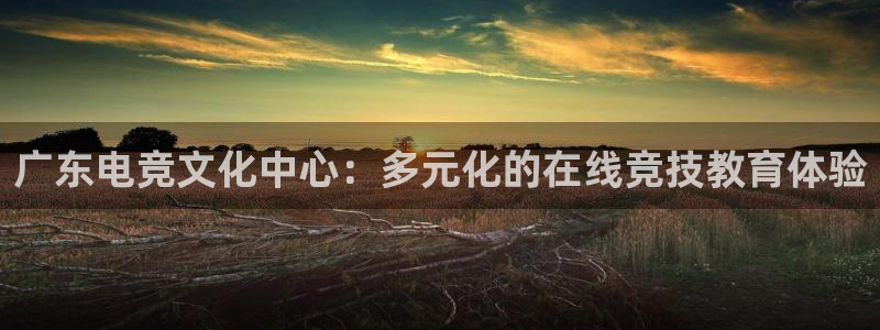 火狐电竞APP首页：广东电竞文化中心：多元化的在线竞技教育体验
